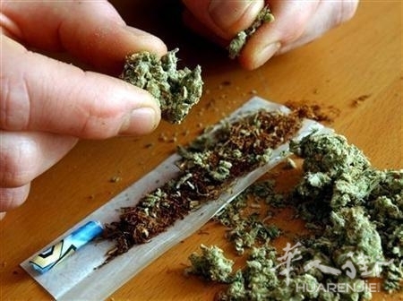 18647-cannabis.jpg 欧洲这个国家的年青人大麻消费排名第二
