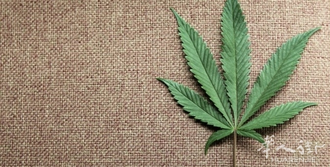 basta-guerra-alla-droga-orig_main.jpg 欧洲这个国家的年青人大麻消费排名第二