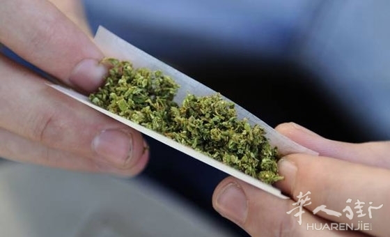 droga_02.jpg 欧洲这个国家的年青人大麻消费排名第二