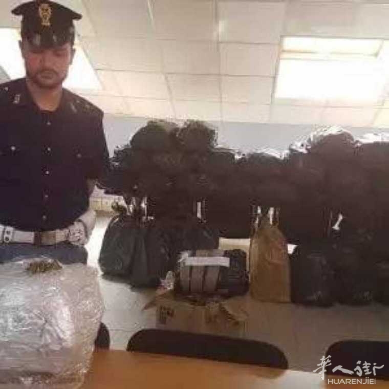 picture.jpg 都灵查获250公斤大麻,价值200万欧!
