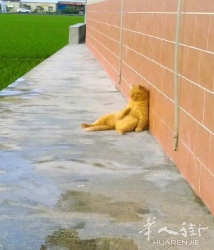 7101b8b789814a109f861d6903cbc90420170625171240.png 意大利是税越来越高,国内是高铁越来越好!