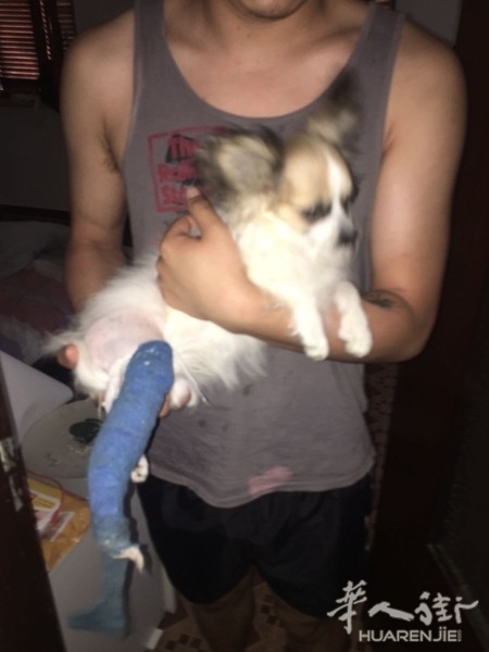 c_a7bb68181f.jpg 库内奥查获一华人经营的非法小狗买卖狗舍