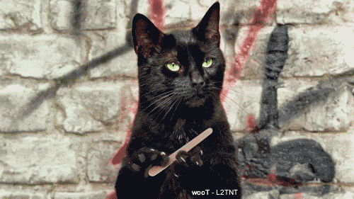 0-2.gif 意呆利人: 我们迷信起来连自己都好怕怕!