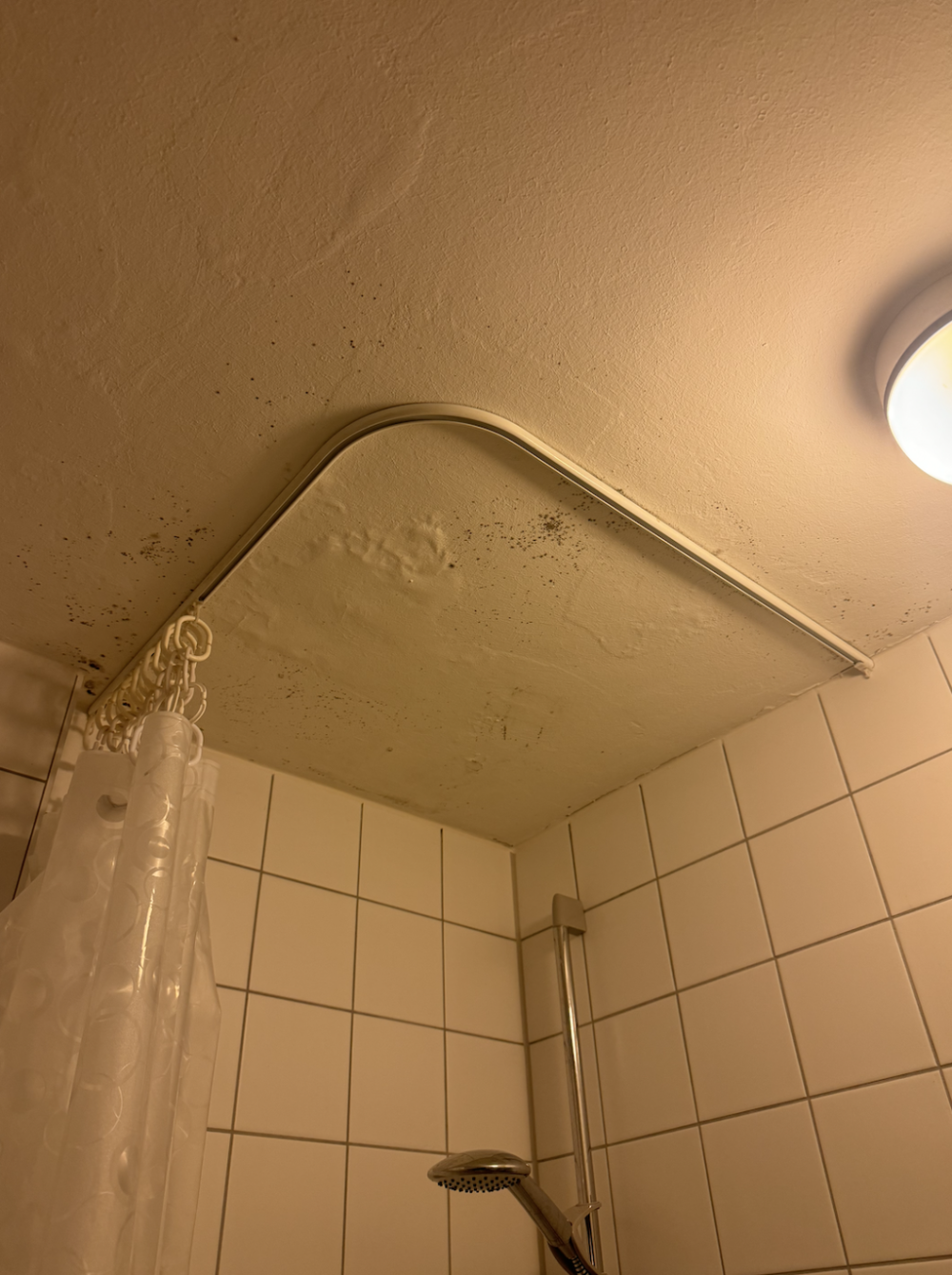 what-to-do-about-mould-mildew-on-the-plaster-above-my-v0-0l1mx2k5si0e1.png