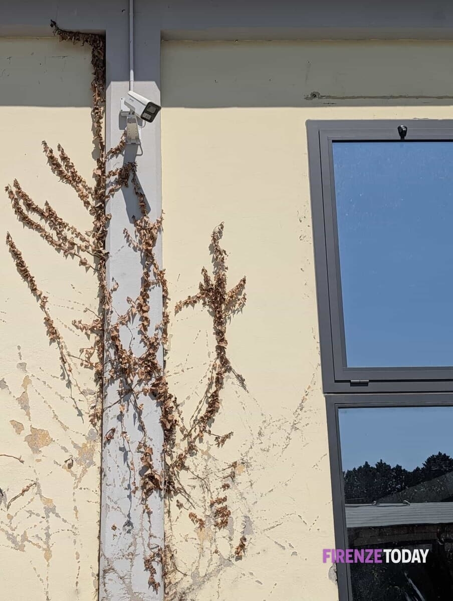 Spari e accoltellati a Campi Bisenzio, circolo cinese sotto sequestro 3.jpeg