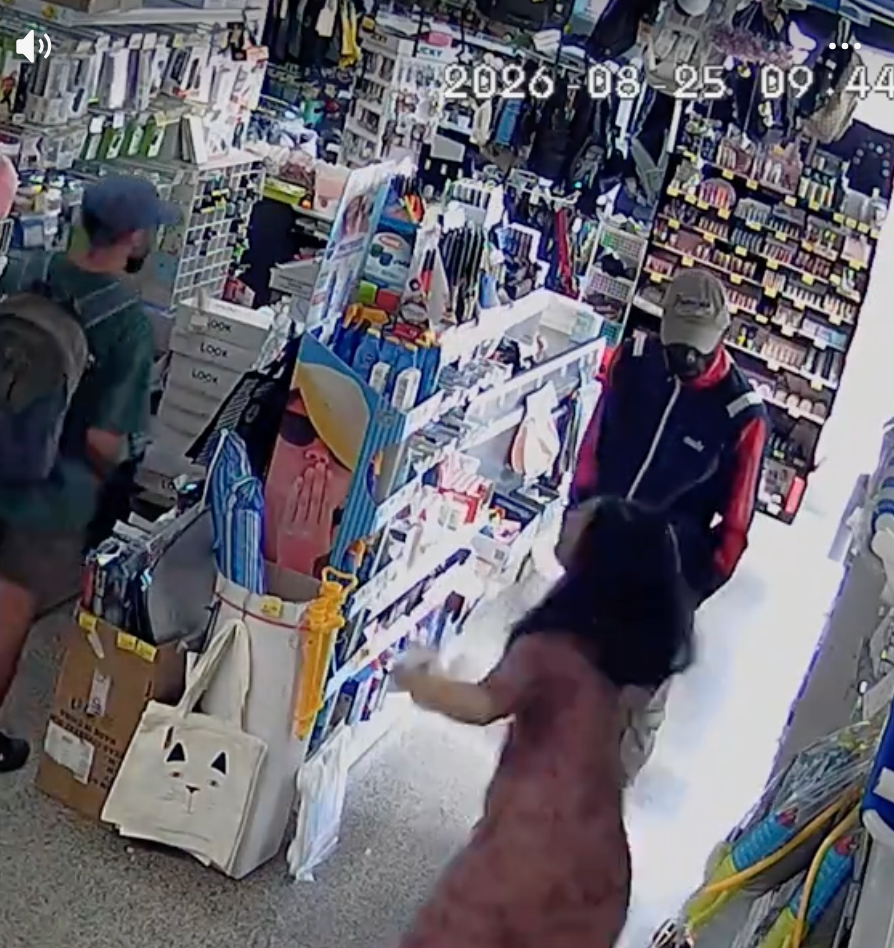Altro screenshot del video delle telecamere durante il furto nel bazar della rot.png