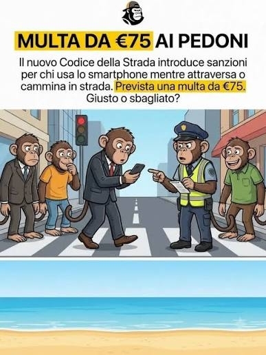 images (1).jpeg
