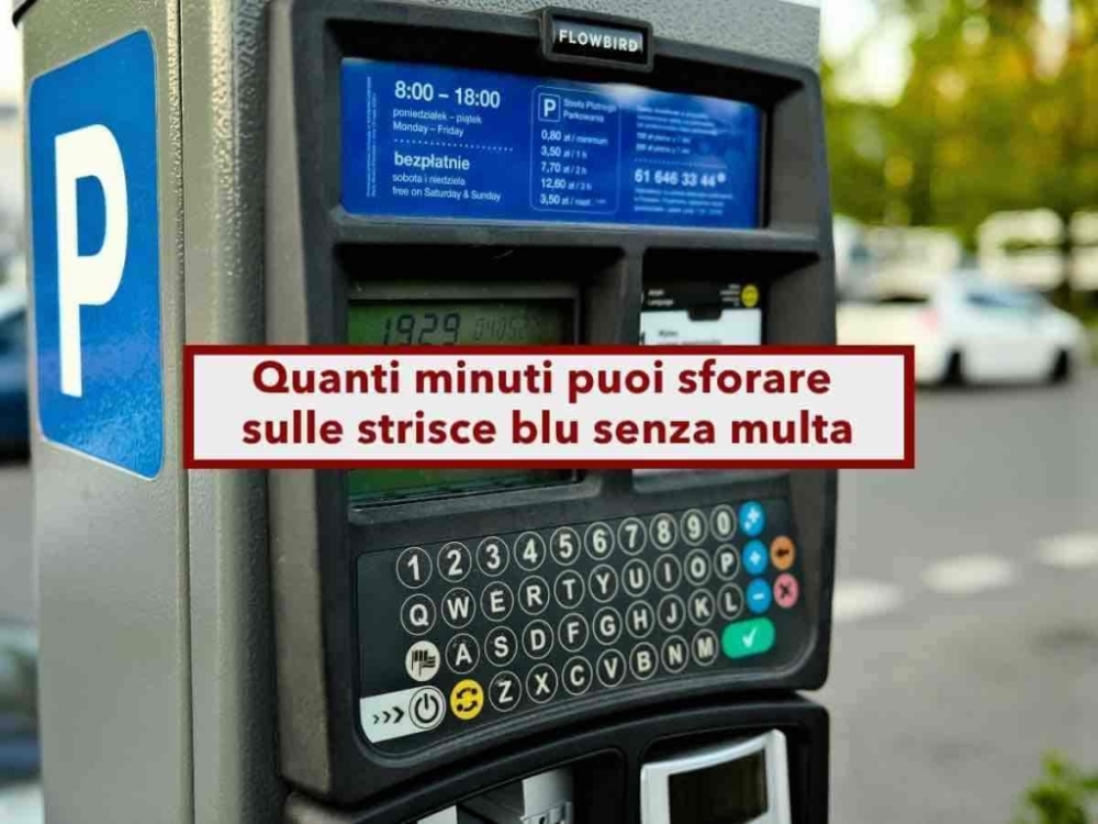 jpg_GJi1igLABz8f_xlarge.jpg