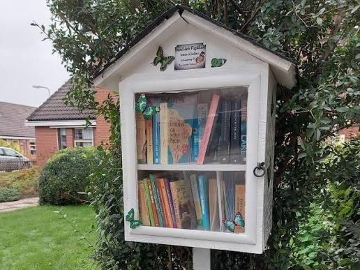 images.jpeg