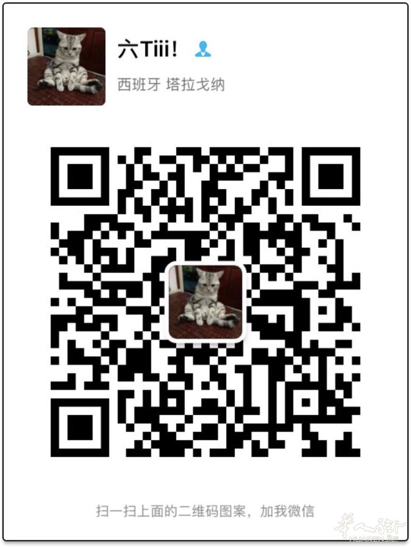 有亲戚朋友想到欧洲发展的可以加我，专业旅游签，前期