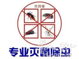 法国政府认可的灭鼠除虫服务，中文联系电话 0695138888