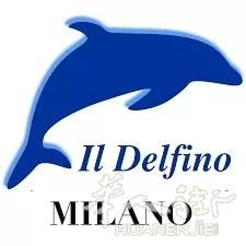 Il Delfino:从米兰到西西里的乘客,请您在此登机!