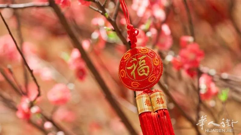 法国景塬新年香宫舞狮活动，欢迎参加