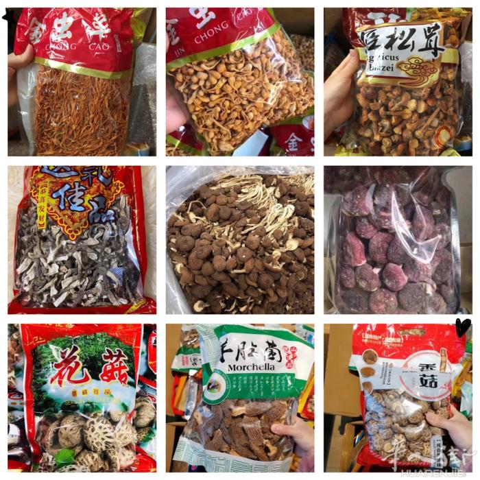 高品质养生干货
