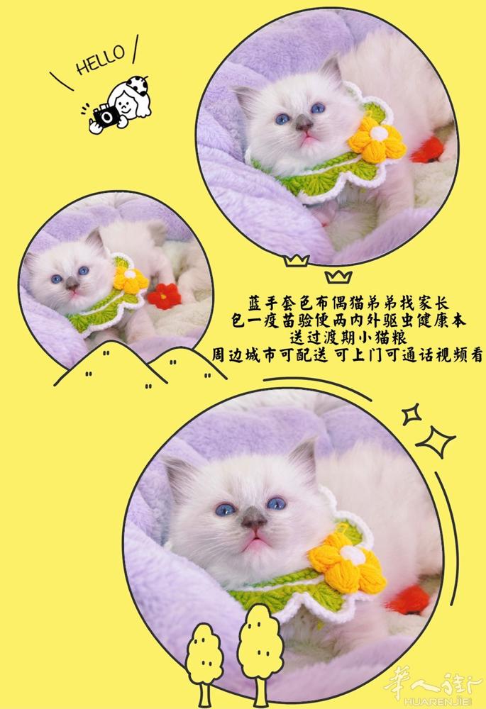 华人街