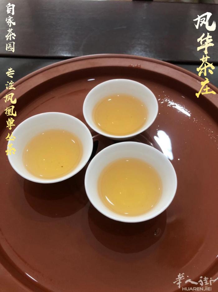 鸭屎香·凤凰春茶·自家直发