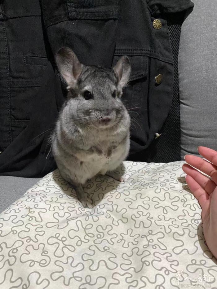 华人街