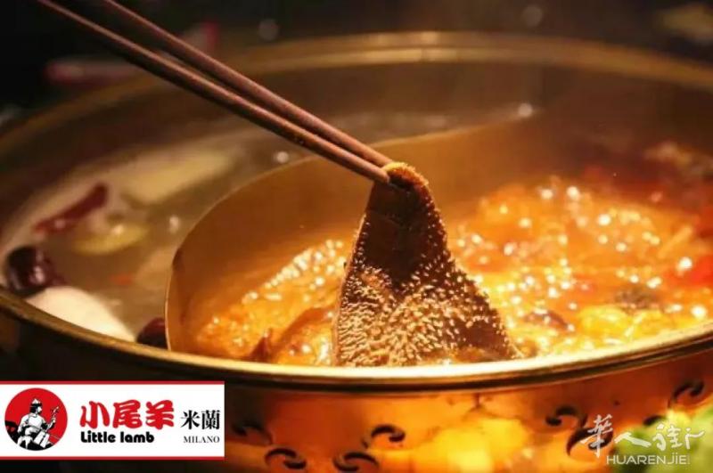 小尾羊夏季福利!全城送「火锅毛肚」一个月,轻松实现火锅自由!