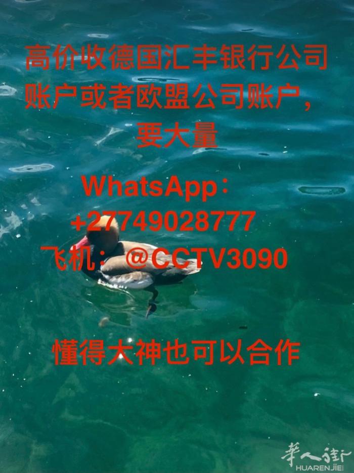 高手看过来