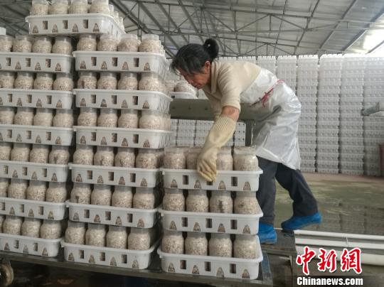 资料图:食用菌工厂的车间,一名年过五旬的贫困对象整齐地摆放好食用菌材料。 苏路程 摄 5月中国经济运行稳中向好 房地产开发投资增速放缓
