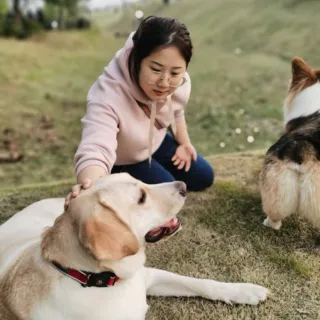 Madame Li